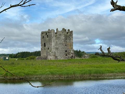 Ruins of a stone castle in a green landscape.