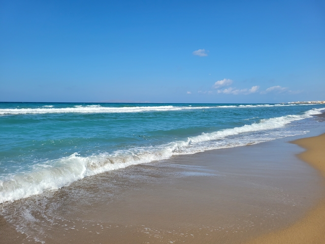 Beach with gentle waves and clear sky