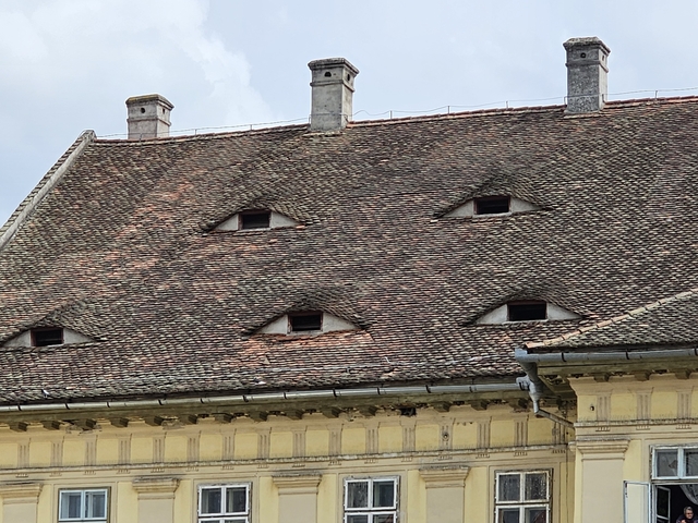 Building with roof windows resembling eyes.