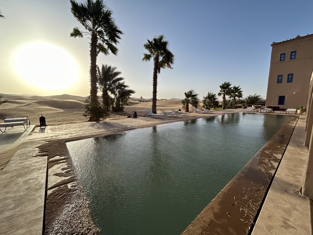 Swimming pool in a desert setting with palm trees.