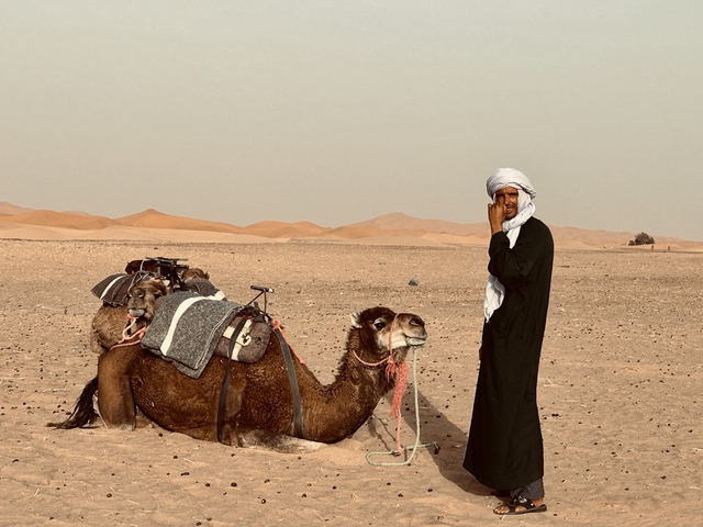 Person with camels in a desert landscape.