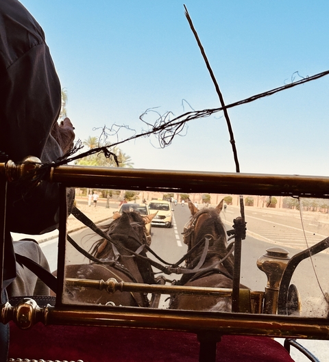 View from a carriage with horses on a road.