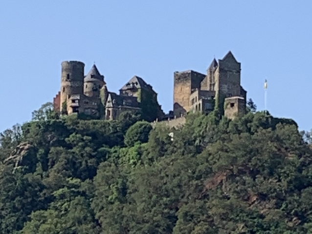 Castle on hilltop with surrounding trees.