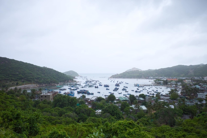 Overview of a coastal town with many boats in the bay.