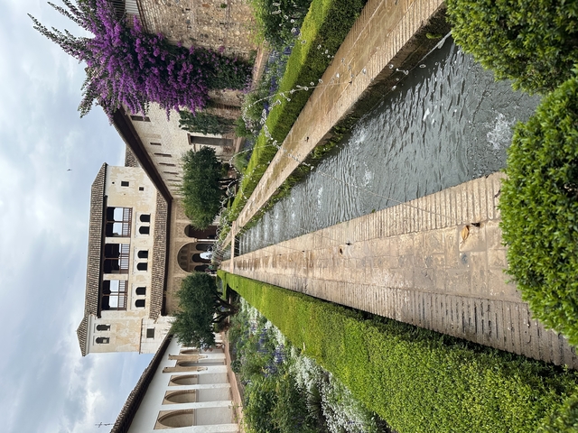 A beautiful garden with a water feature.