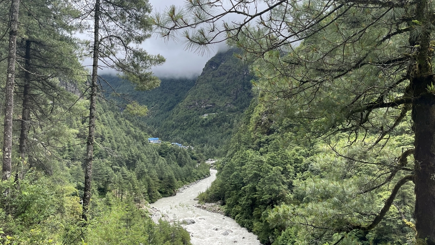 River flowing through a dense forest with mountains in the distance.