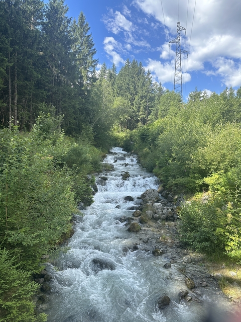 A cascading stream flowing through a forested area.