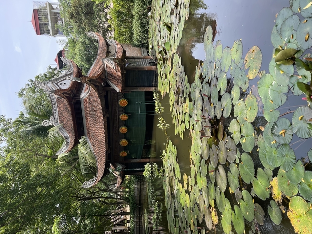 Traditional Asian architecture near a lily pond.