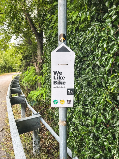 A signpost next to a lush, green forest path.