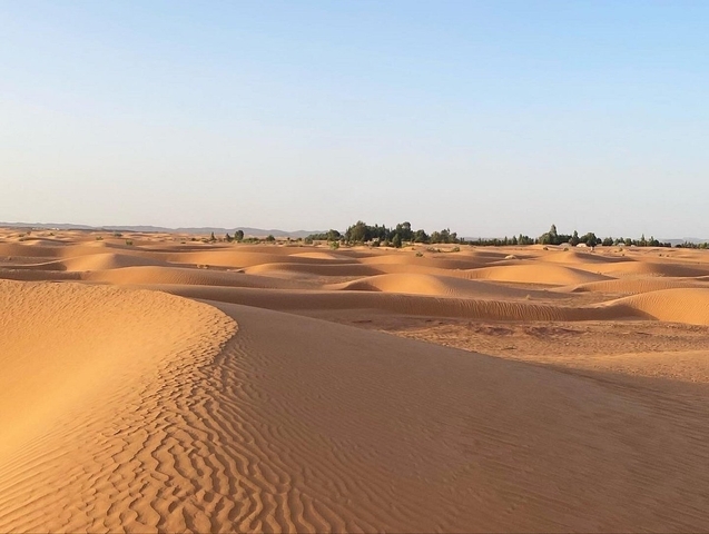 Vast desert landscape with sand dunes.