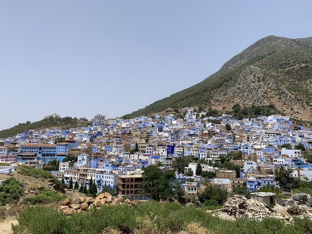 Scenic view of a hill covered with blue-painted buildings.