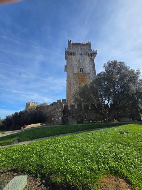 Castle tower with surrounding greenery.