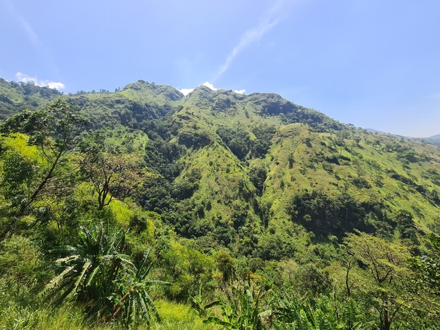 Green lush mountains under clear blue sky.
