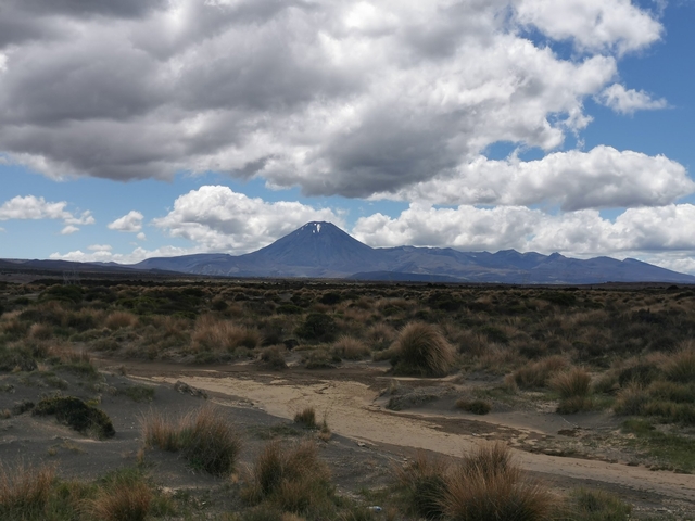 Mount Ngauruhoe in the distance under a cloudy sky.