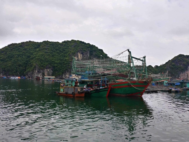 Fishing boats on water with limestone cliffs in the background.