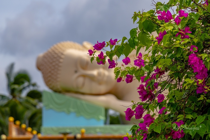 Reclining Buddha statue with pink flowers.
