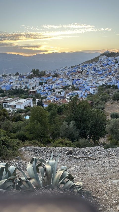 Overlooking a town with predominantly blue buildings.