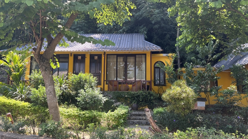 Charming yellow house surrounded by vibrant greenery.