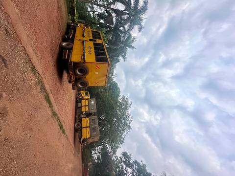 Two yellow trucks parked in a forest setting.