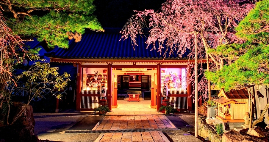 Beautifully illuminated traditional building with cherry blossoms.