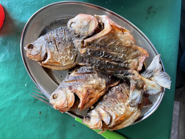 Plate with grilled fish.