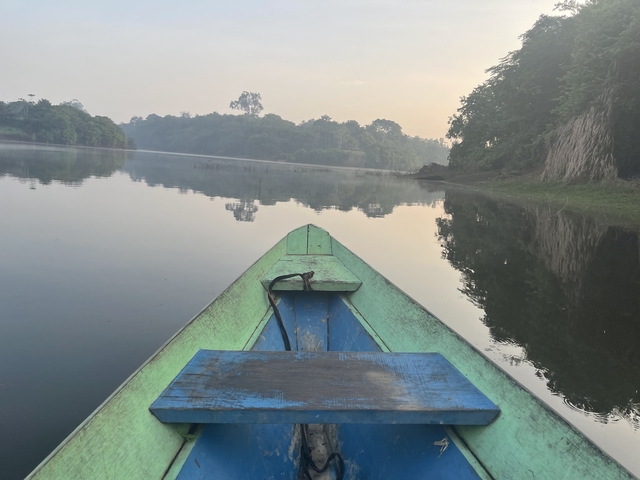 Boat approaching a misty river view with lush vegetation.