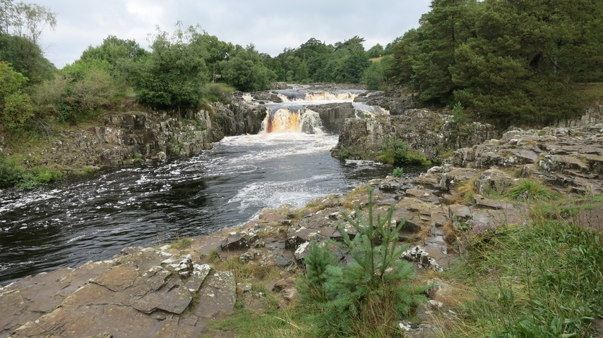 Flowing river cascading over rocks in a lush, green forest.