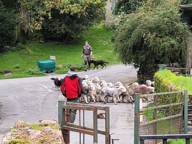 foto de reseña de cliente de Circuito de 3 días en grupo pequeño al Distrito de los lagos desde Edimburgo