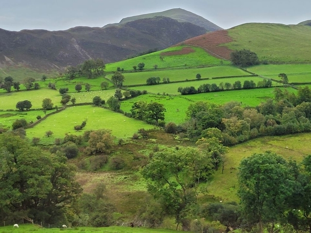 foto de reseña de cliente de Circuito de 3 días en grupo pequeño al Distrito de los lagos desde Edimburgo