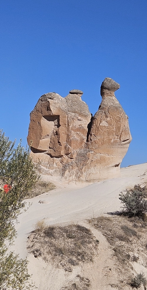 Unique rock formations in a desert landscape.