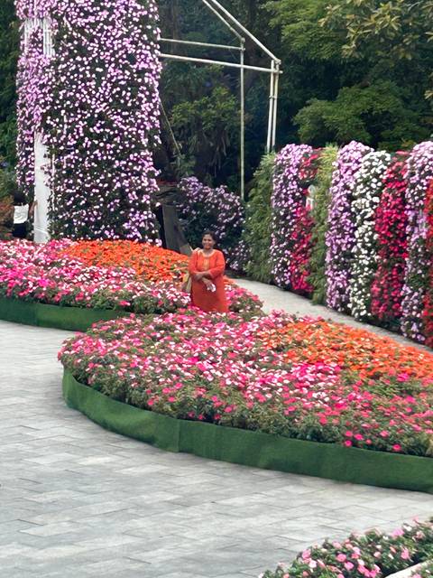 Upside-down image of colorful flowerbeds.