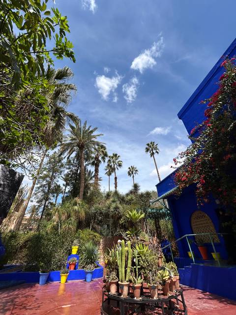 Vibrant garden with palm trees and colorful buildings under a clear sky.