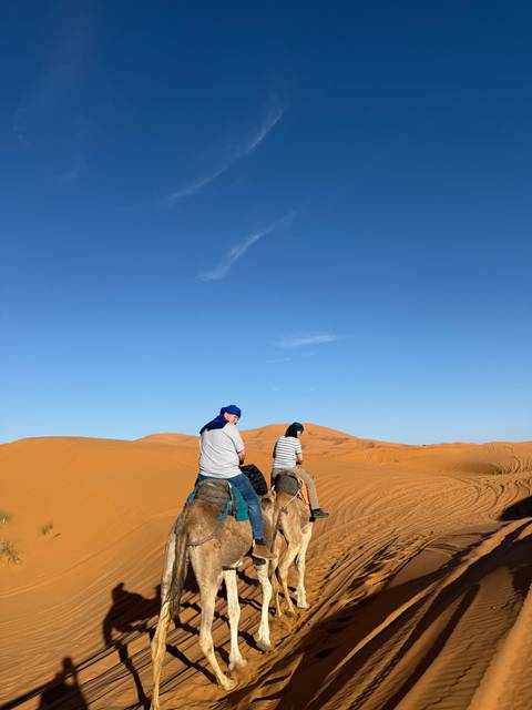 Camels with riders traversing across sand dunes under a blue sky.