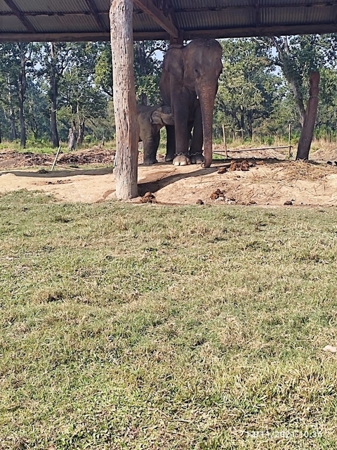 Photo d'avis client sur Les points forts du Népal