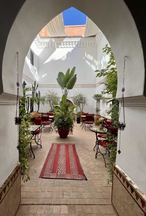 Courtyard with lush plants and seating arrangements.