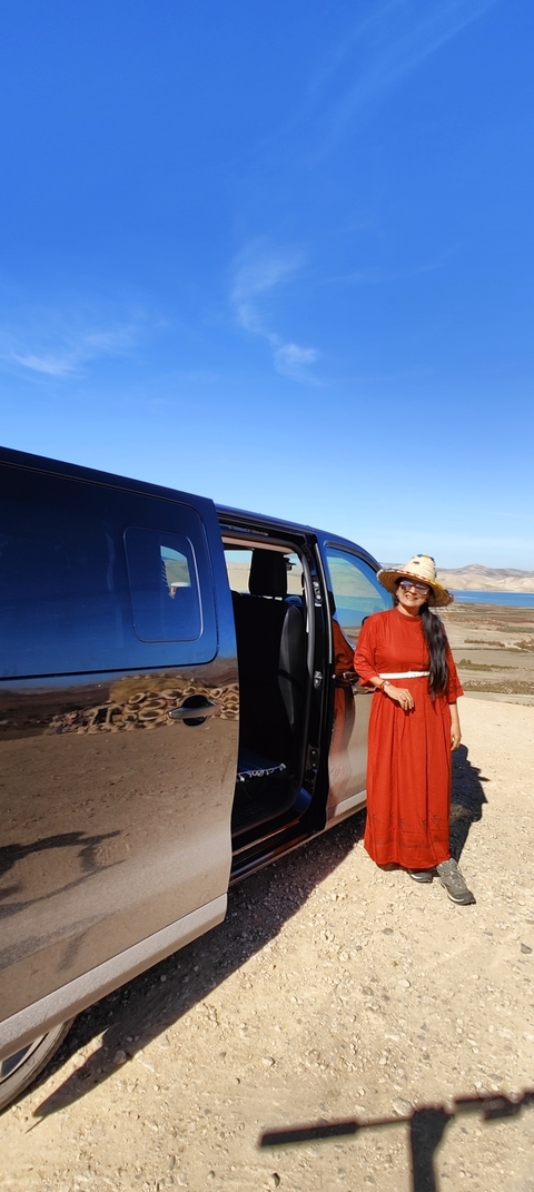 Woman standing beside a van with desert landscape in the background.