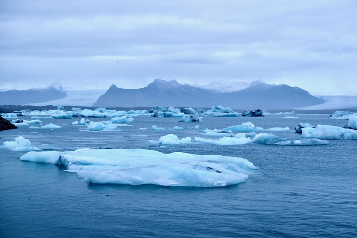 Expansive view of icebergs floating in a deep blue glacial lake.