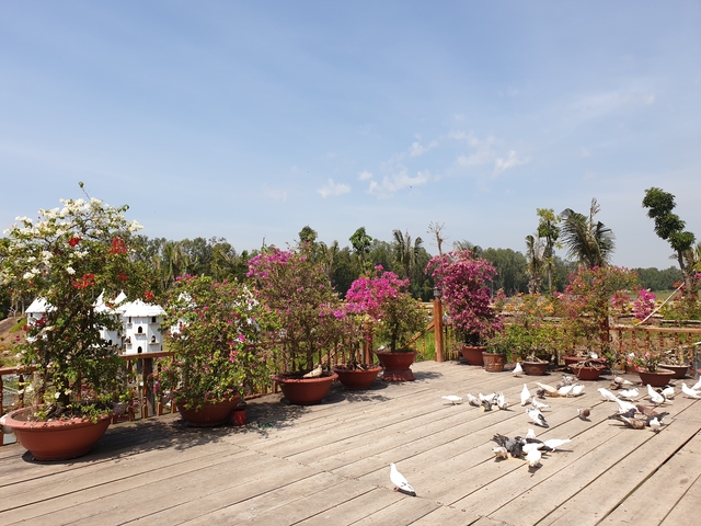 A terrace with plants and a partly cloudy sky.