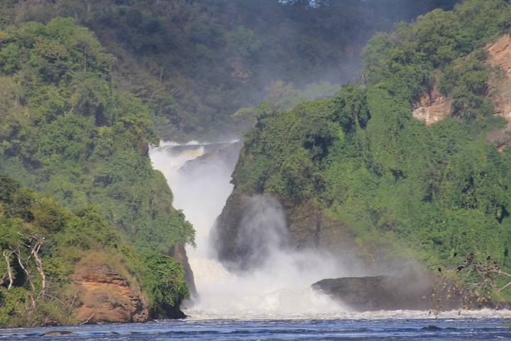Murchison Falls with lush greenery.