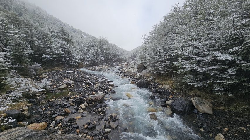 Snow-covered trees and a flowing river in a mountainous area.