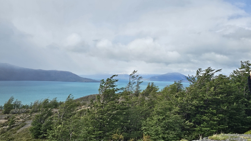 Windy landscape with trees and a lake
