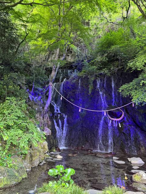Waterfall with a light installation in a green forest.