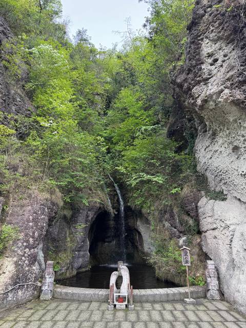 Green canyon with a waterfall and lush vegetation.