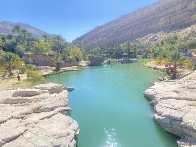 Tranquil oasis with clear blue waters surrounded by rocks and palm trees.