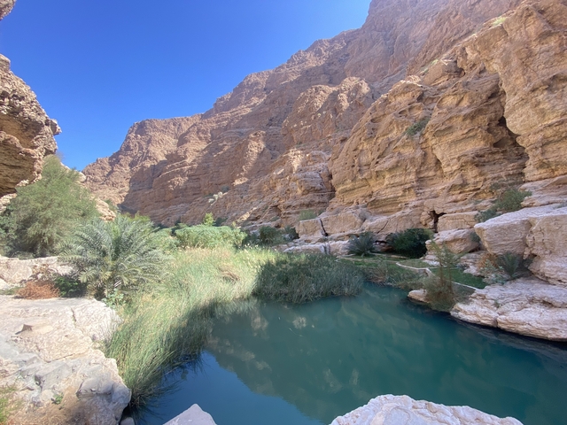 Serene wadi with lush greenery and turquoise water.