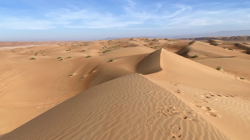 Vast desert landscape with rolling sand dunes.