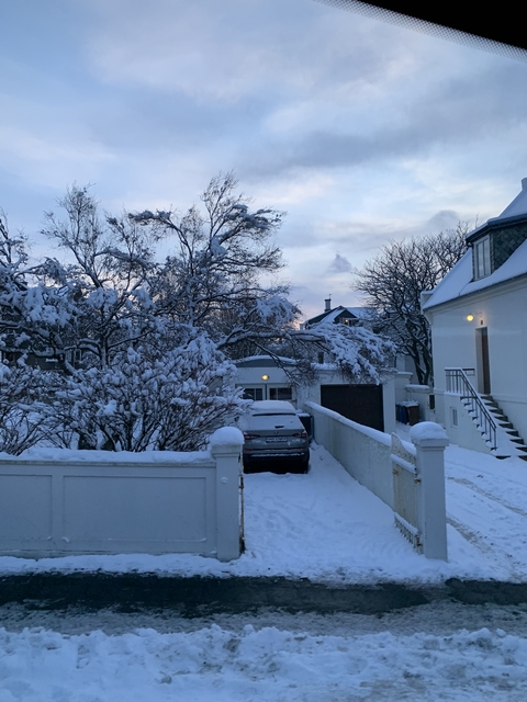 Snow-covered suburban houses and trees at dusk.