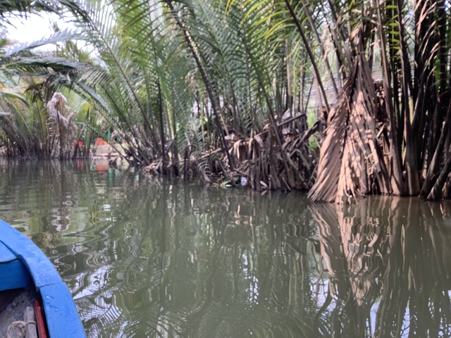 Waterway surrounded by dense palm trees.