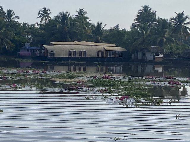 Houseboat on a calm lake with a backdrop of tropical foliage and flowers.