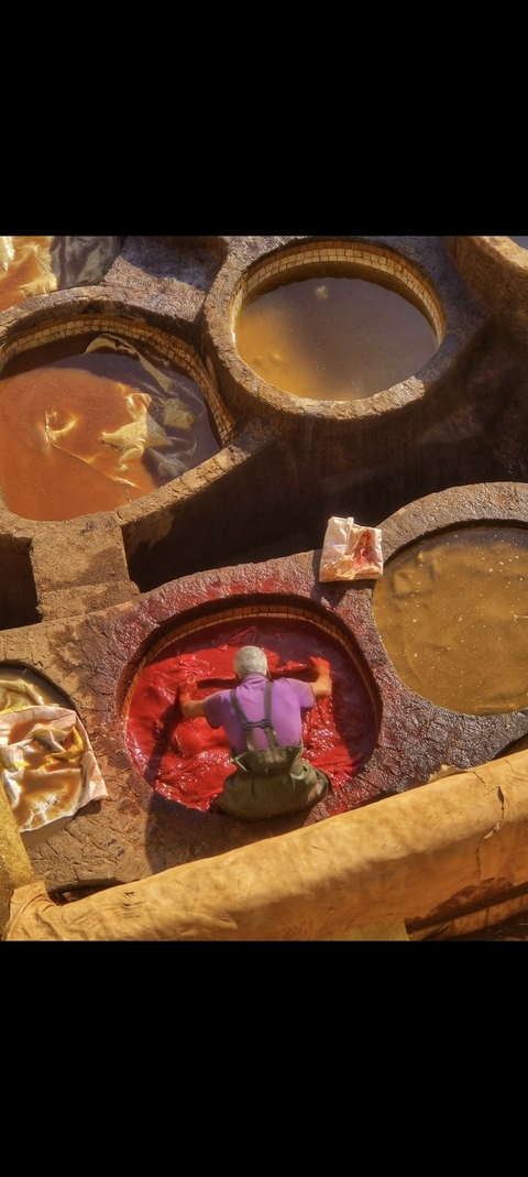 Worker in a tannery handling red dye in circular pits.